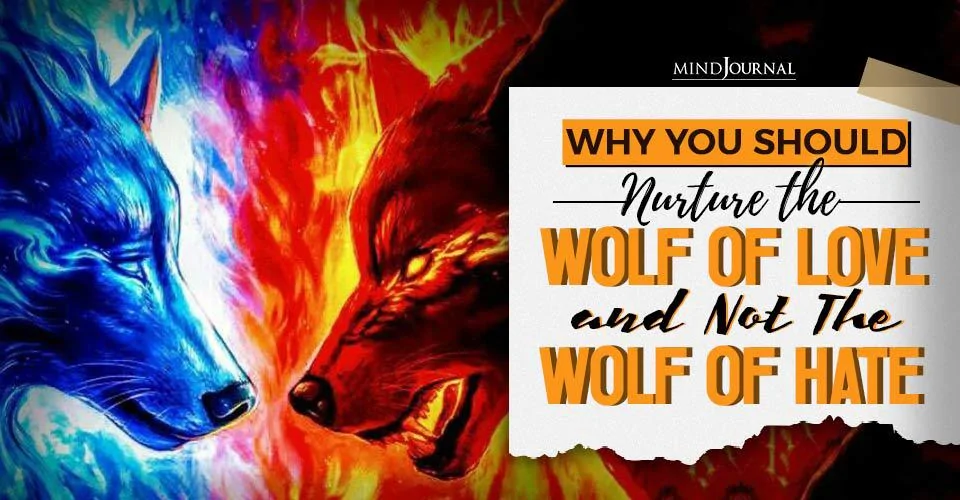 Why You Should Nurture the Wolf of Love and Not The Wolf of Hate