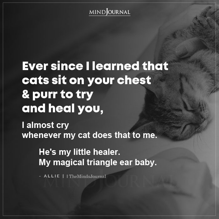 Ever Since I Learned That Cats Sit On Your Chest