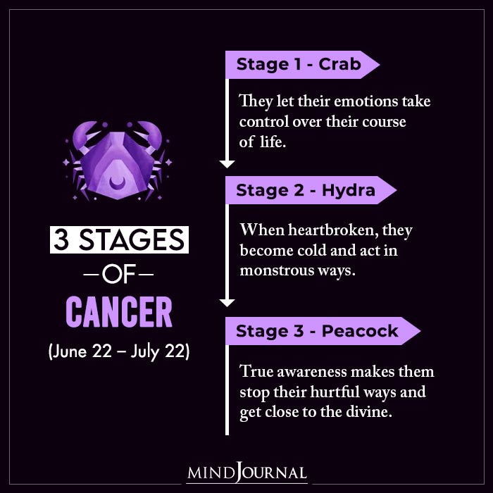 Stages Zodiac Signs Most People Dont Know cancer