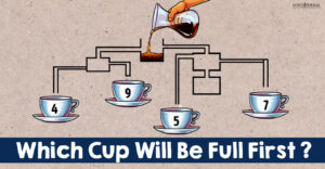 Tricky Puzzle Which Cup Will Be Full First