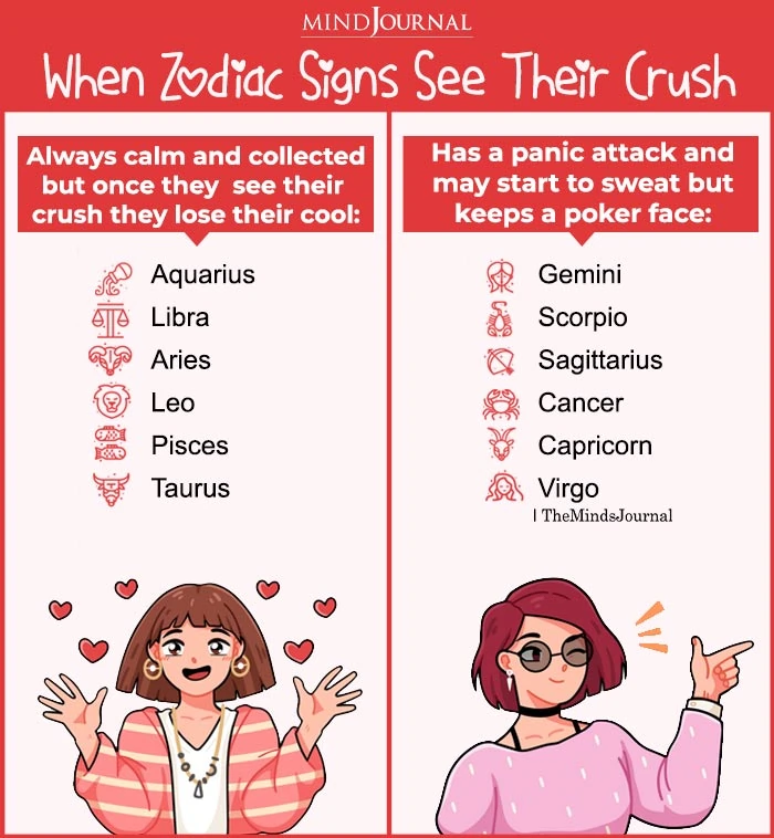 When Zodiac Signs See Their Crush