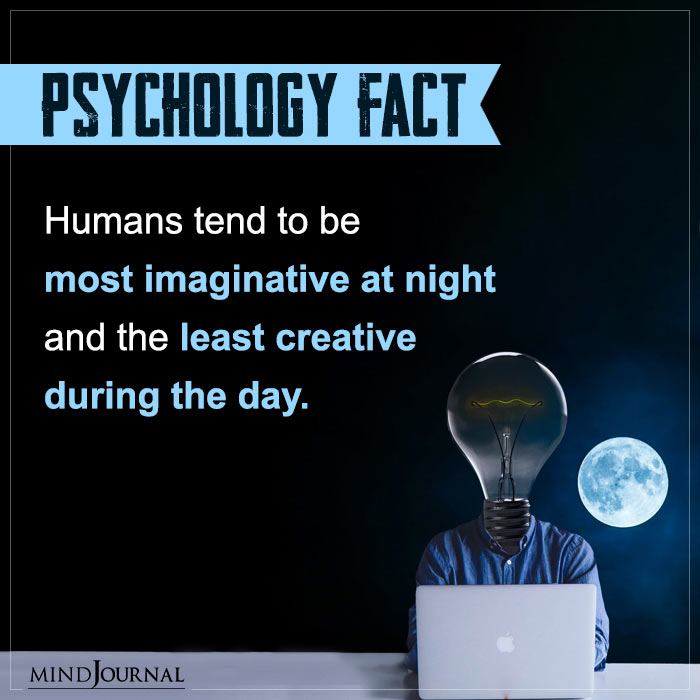 Humans Tend To Be Most Imaginative