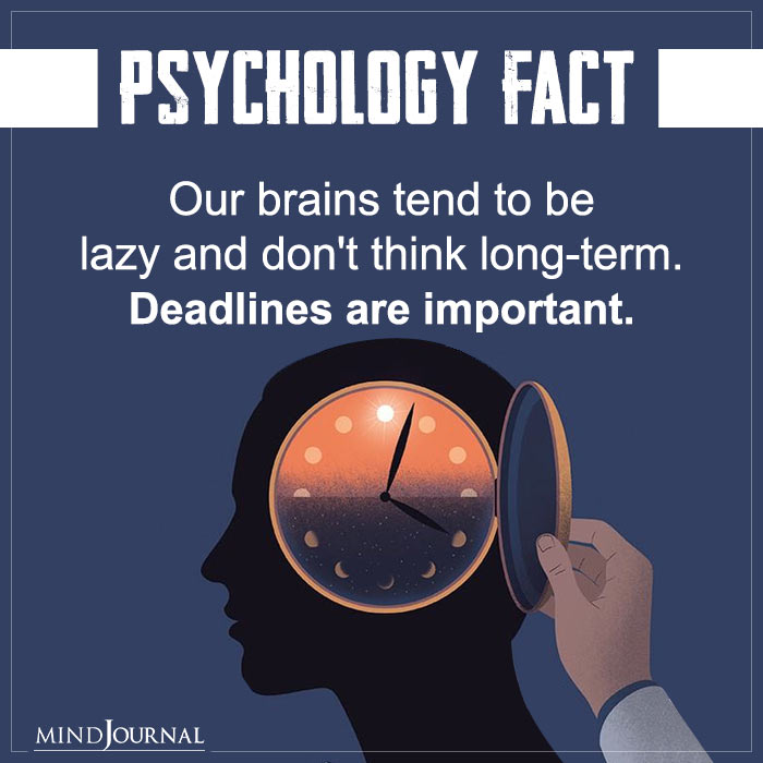 Our Brains Tend To Be Lazy