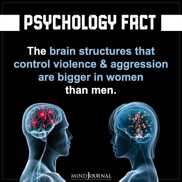 The Brain Structures That Control Violence And Aggression