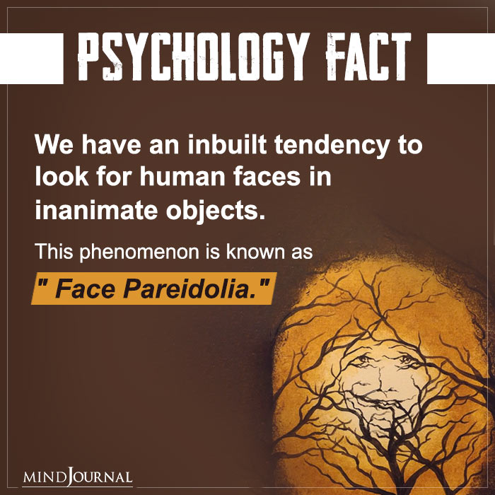 We Have An Inbuilt Tendency To Look For Human Faces