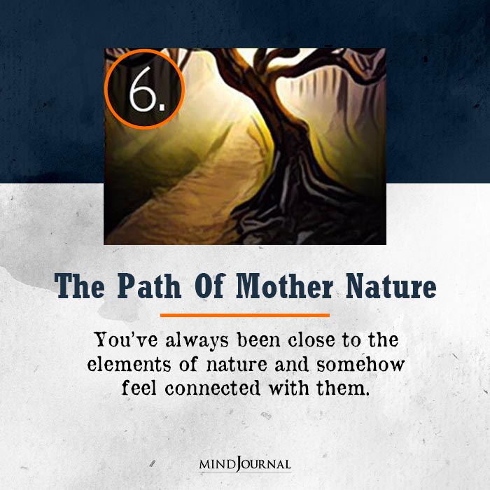 Which Path Will You Choose Quiz The Path of Mother Nature
