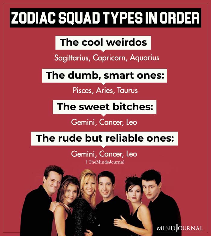 Zodiac Squad Types In Order