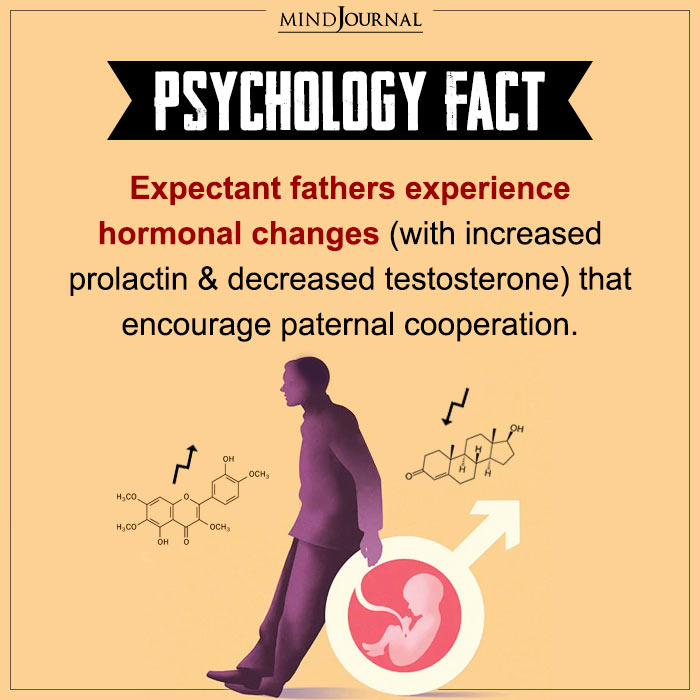 Expectant Fathers Experience Hormonal Changes