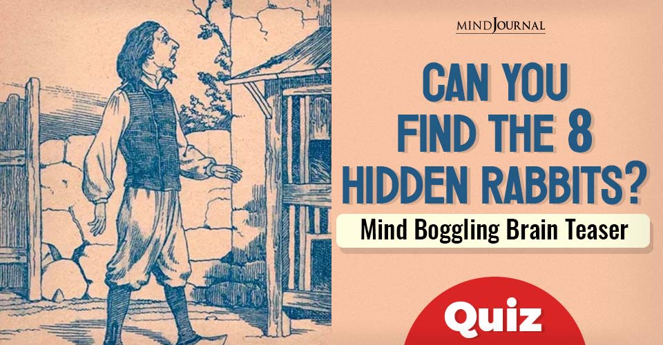 Hidden Rabbits MindBoggling Brain Teaser