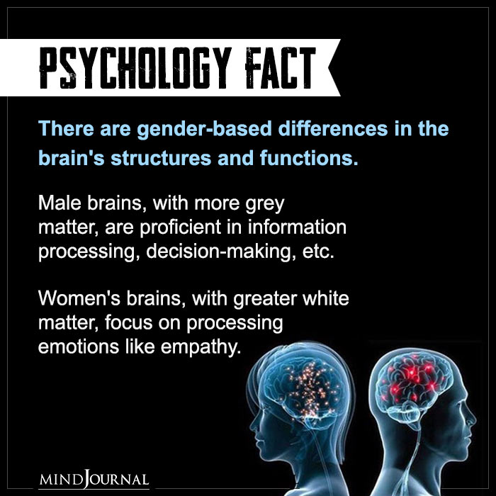 There Are Gender based Differences In The Brain's Structures And Functions