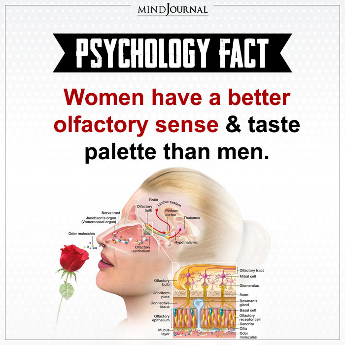 Women Have A Better Olfactory Sense