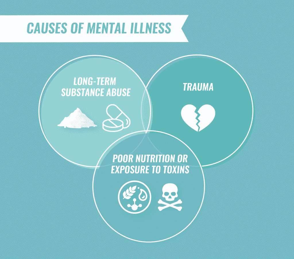 Causes of mental illness.
