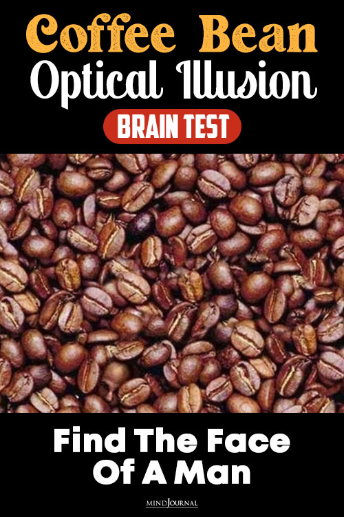 Coffee Bean Optical Illusion pin