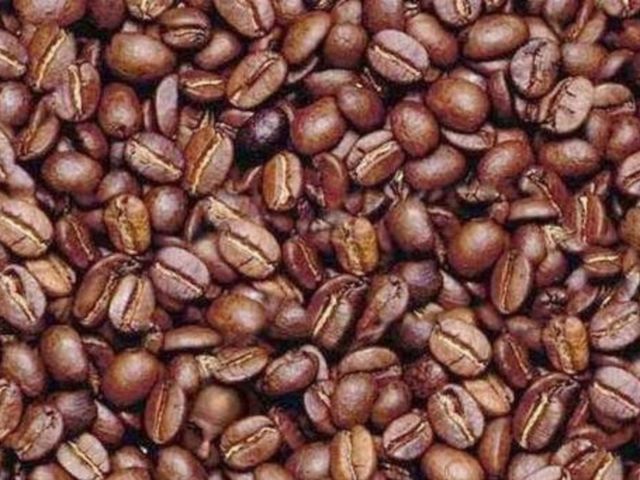 Coffee Bean Optical Illusion: Find The Hidden Faces