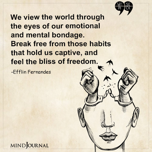 Efflin Fernandes We view the world