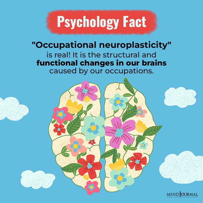 what is neuroplasticity in psychology
