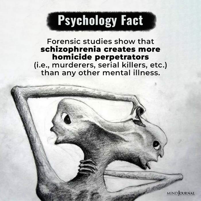 Forensic-studies-show-that-schizophrenia-creates-more-homicide-perpetrators-(i.e.,-murderers,-serial-killers,-etc.)-than-any-other-mental-illness.