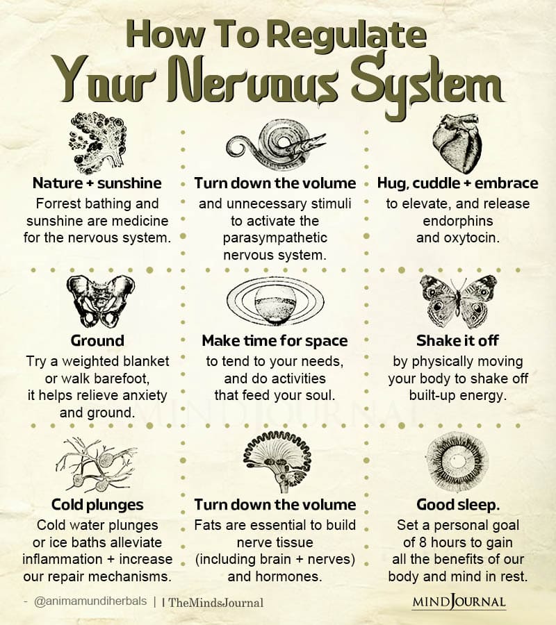 How To Regulate Your Nervous System