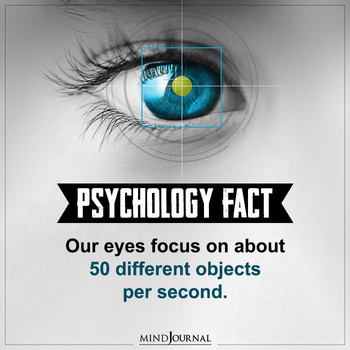 Our Eyes Focus On 50 Different Objects