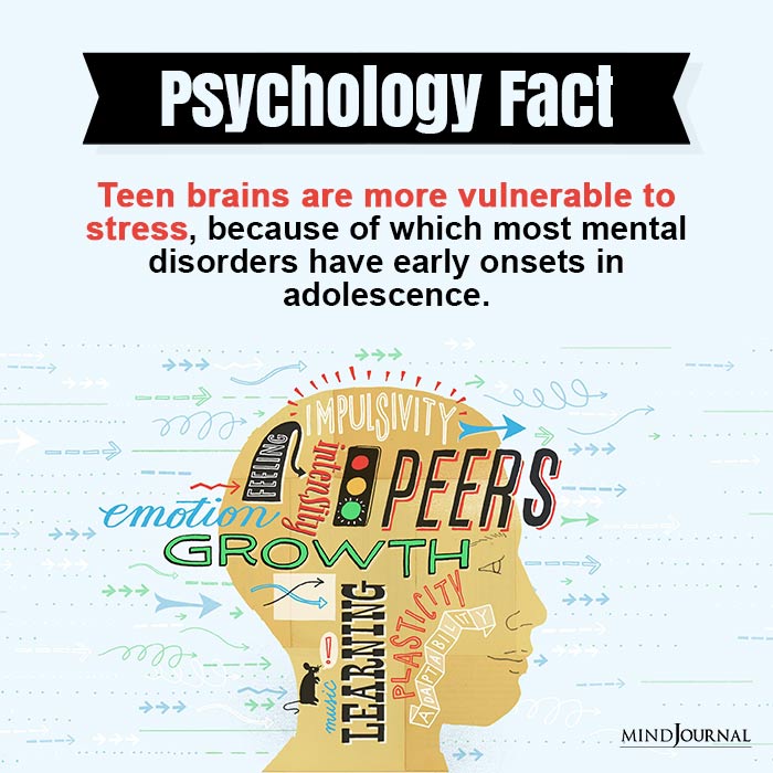 Teen-brains-are-more-vulnerable-to-stress-FAct