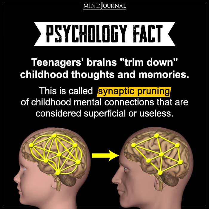 Teenagers' Brains Trim Down Childhood Thoughts And Memories (1)