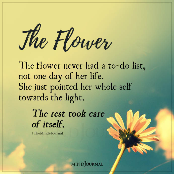 The Flower Never Had A To-do List