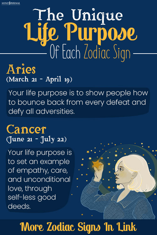 life purpose zodiac sign pindetail