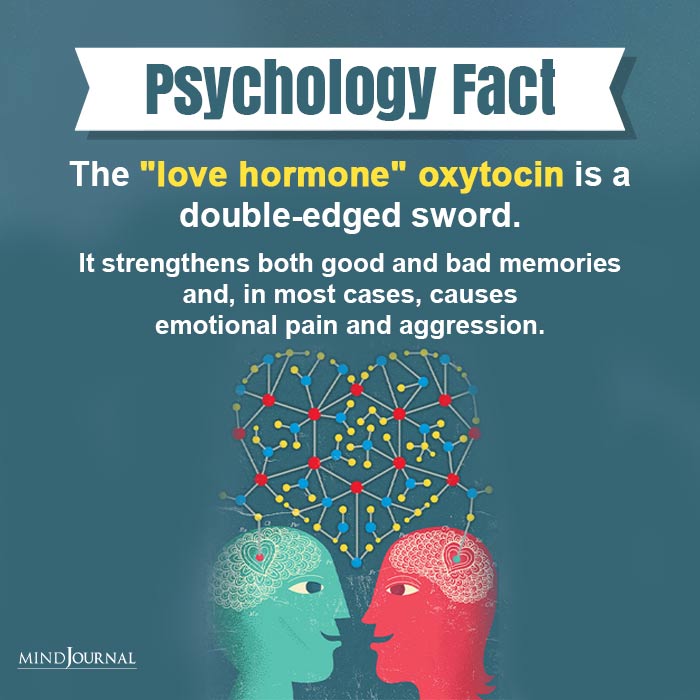 The Love Hormone Oxytocin Is A Double-edged Sword