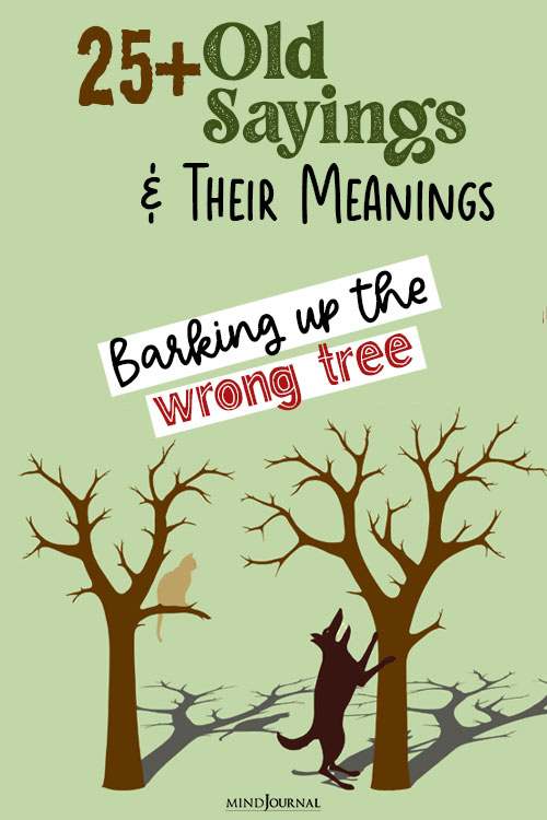 popular old sayings with meanings barking