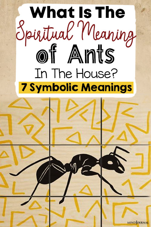 spiritual meaning of ants in the house pin