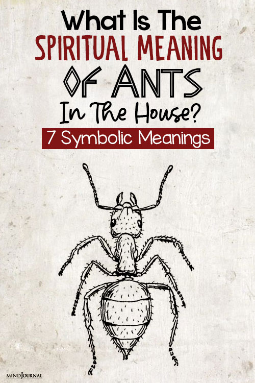 spiritual meaning of ants in the house pinex