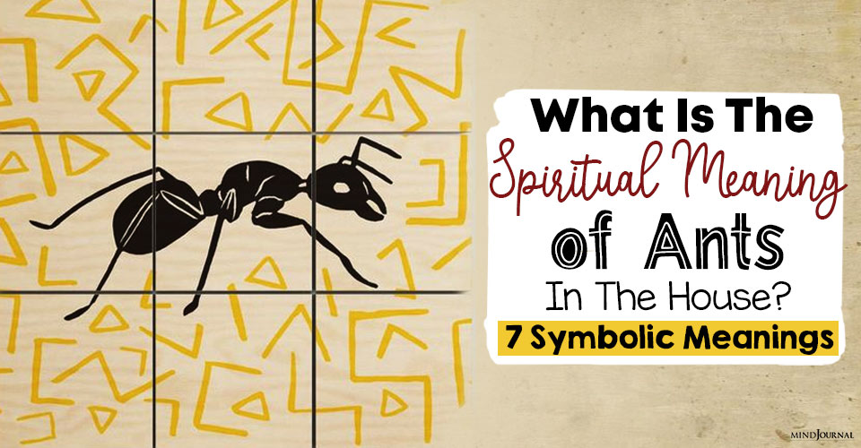 spiritual meaning of ants in the house