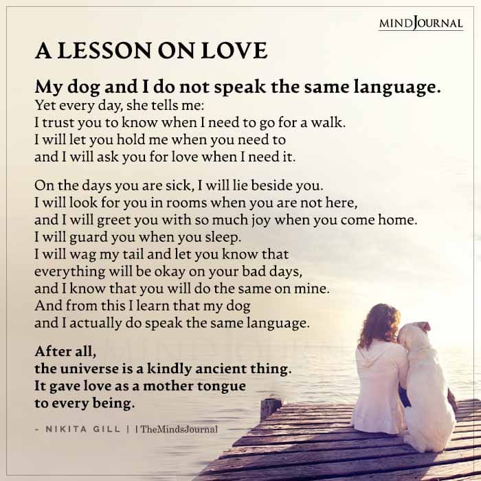 A Lesson on Love