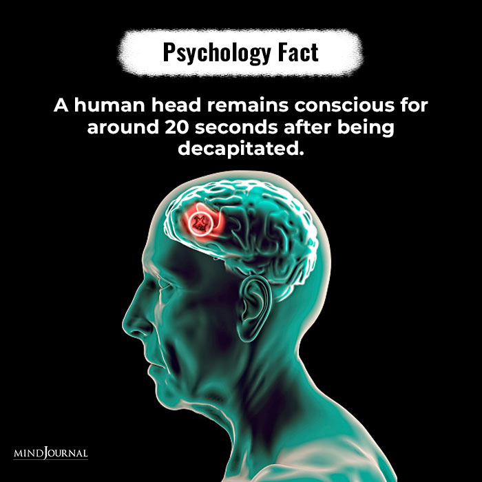 A-human-head