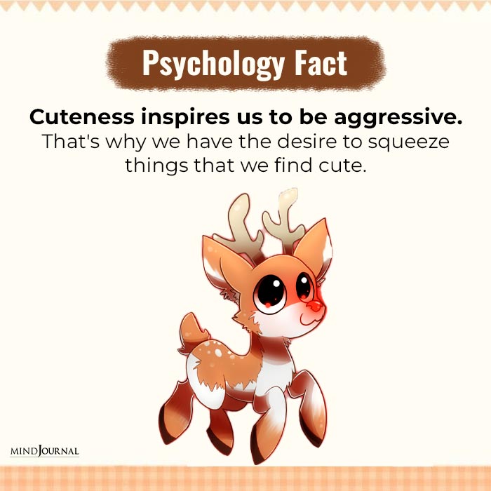 Cuteness-inspires-us-to-be-aggressive