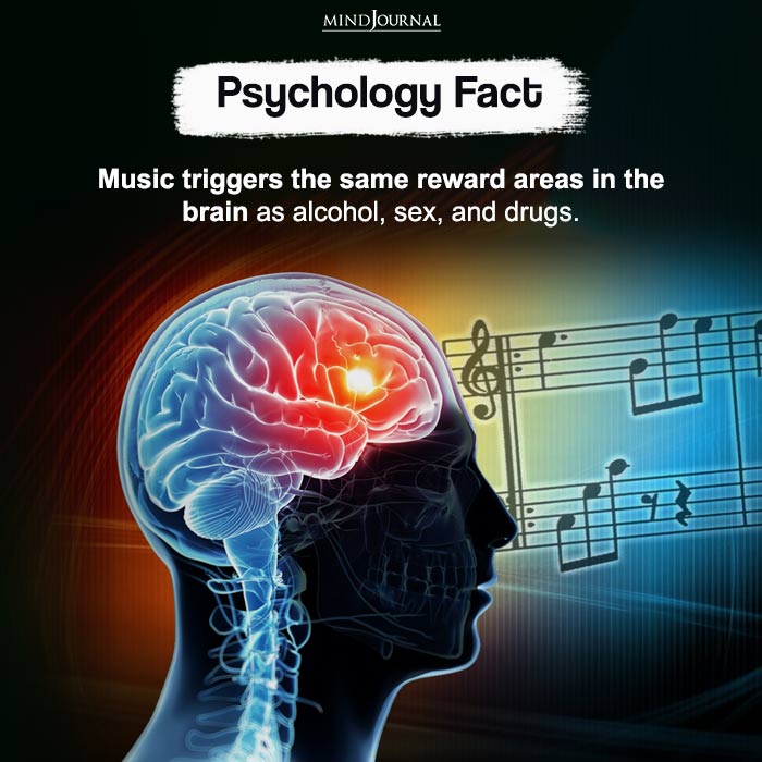 Music triggers the same reward areas in the brain as alcohol