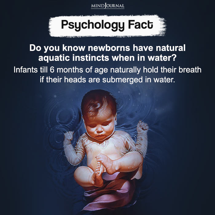 Do you know newborns have natural aquatic instincts