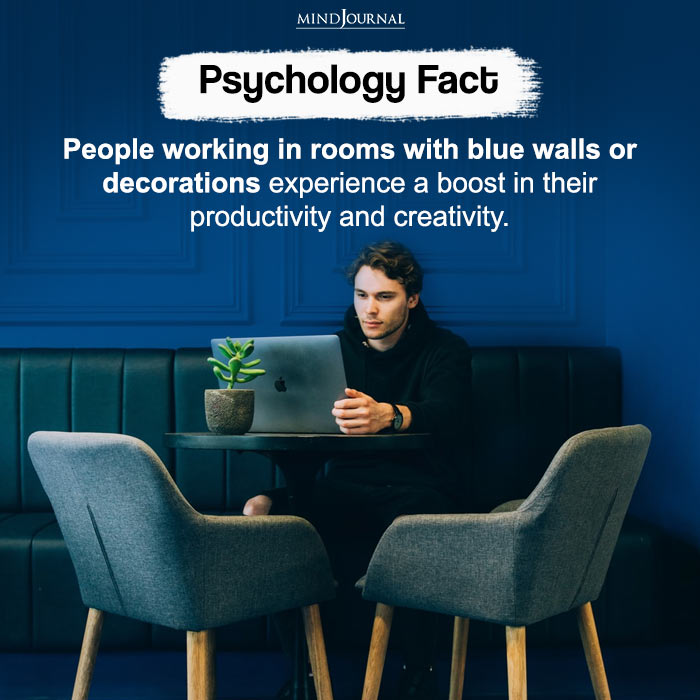People working in rooms with blue walls