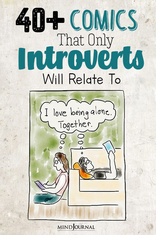 Comics That Only Introverts Will Understand pin