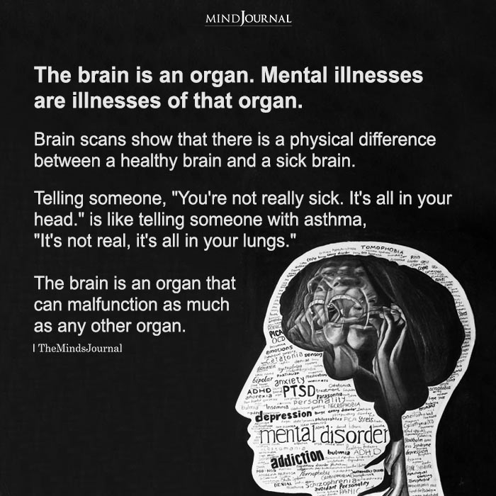 The Brain Is An Organ