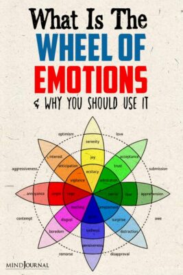 robert wheel of emotions