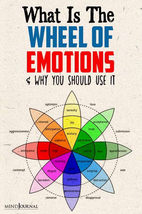 Wheel of Emotions pinex