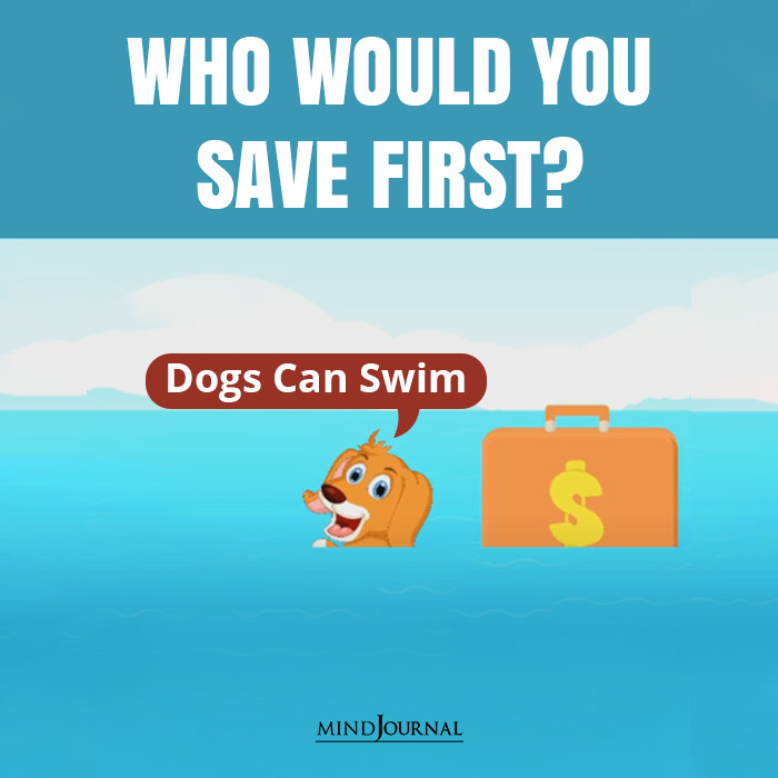 Who Would You Save First dogs can swim