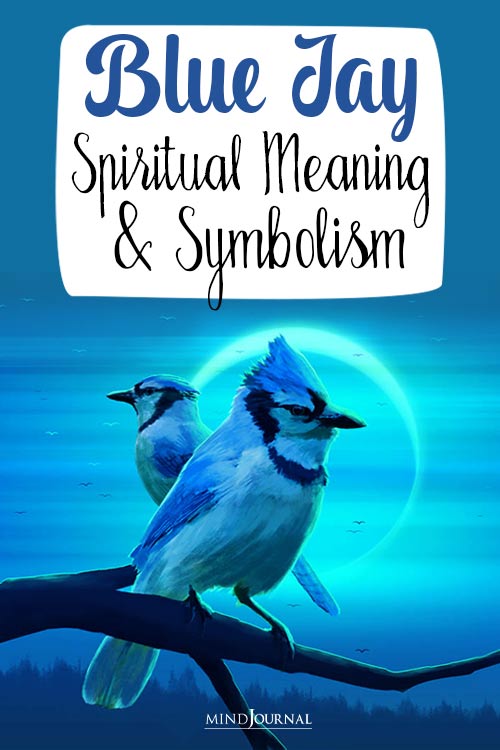 Blue Jay Spiritual Meaning And Symbolism pin