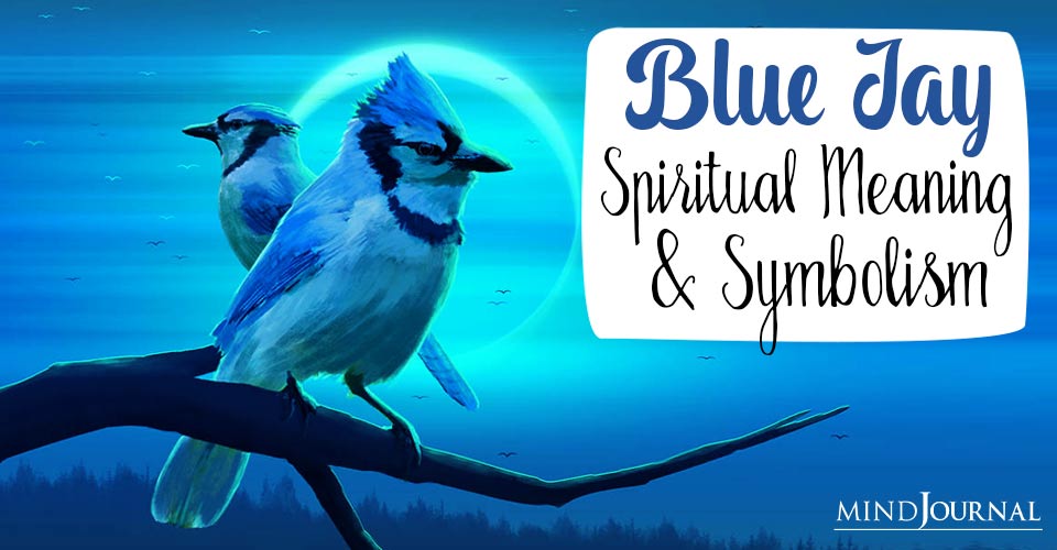 Blue Jay Spiritual Meaning And Symbolism