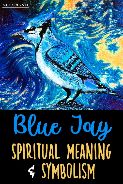 Blue Jay Spiritual Meaning Symbolism pin