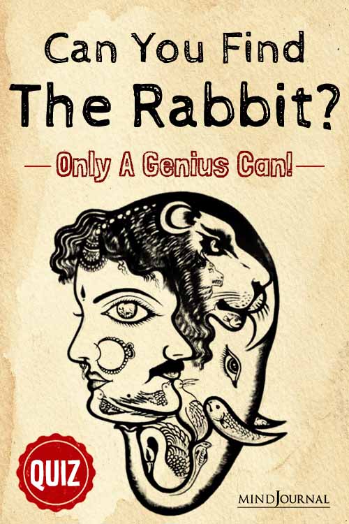 Genius Find the Rabbit Animal Puzzle pin