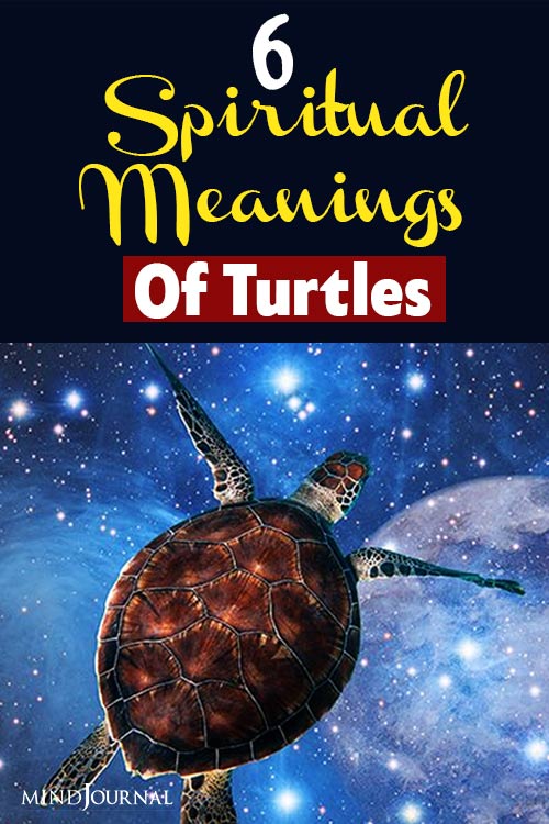 Spiritual Meaning Of A Turtle pin