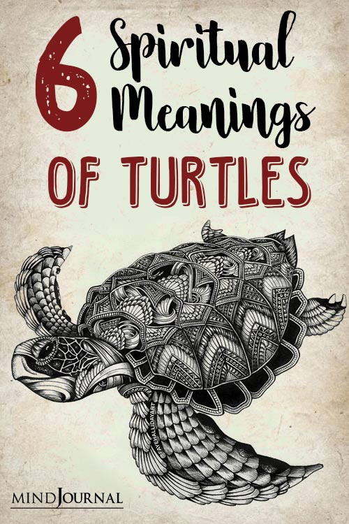 Spiritual Meaning Of A Turtle pinex