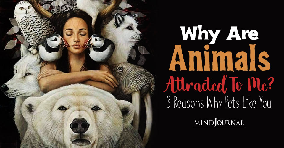 Why Are Animals Attracted To Me? 3 Reasons Why Pets Like You